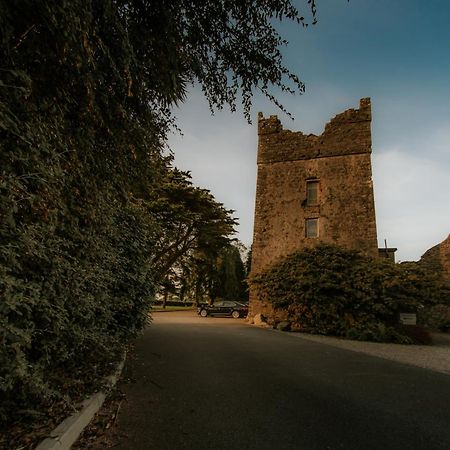 Killiane Castle Country House & Farm Drinagh Екстериор снимка