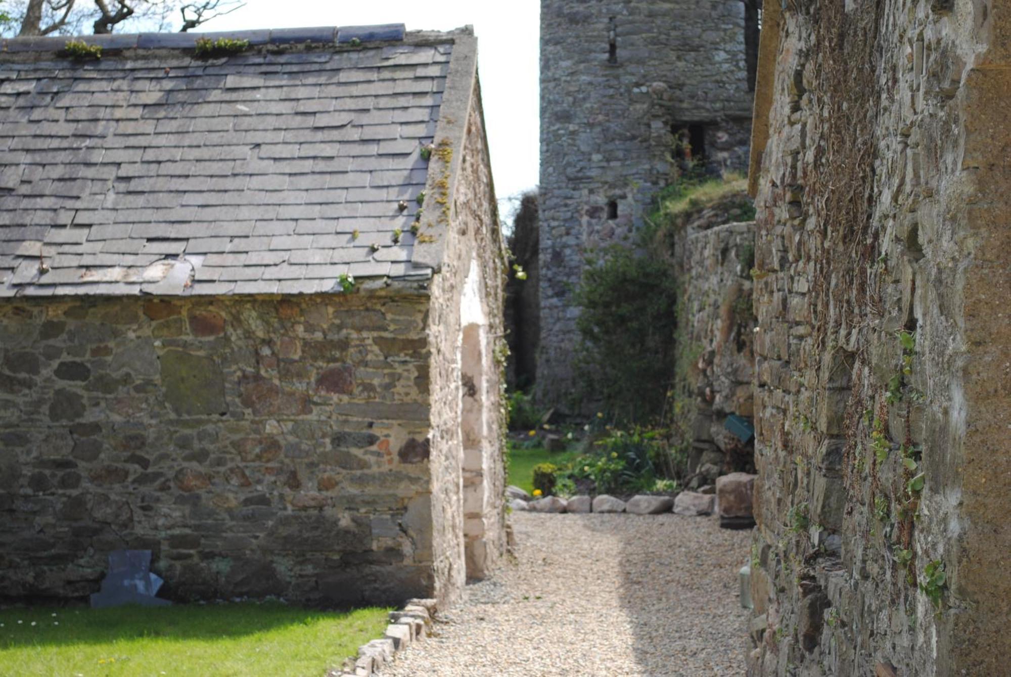 Killiane Castle Country House & Farm Drinagh Екстериор снимка