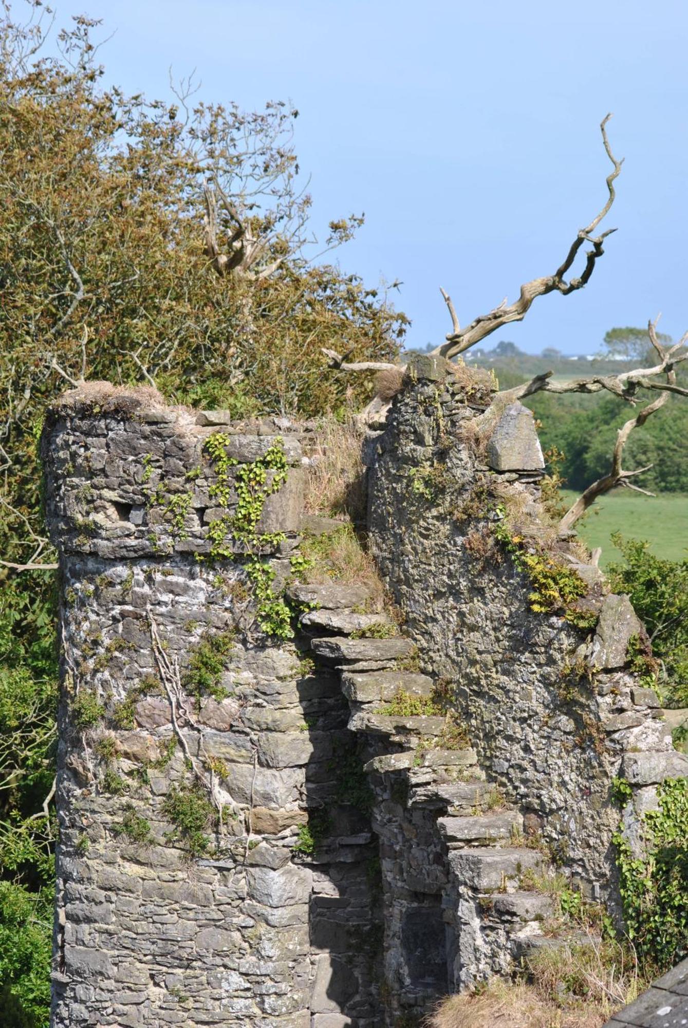 Killiane Castle Country House & Farm Drinagh Екстериор снимка