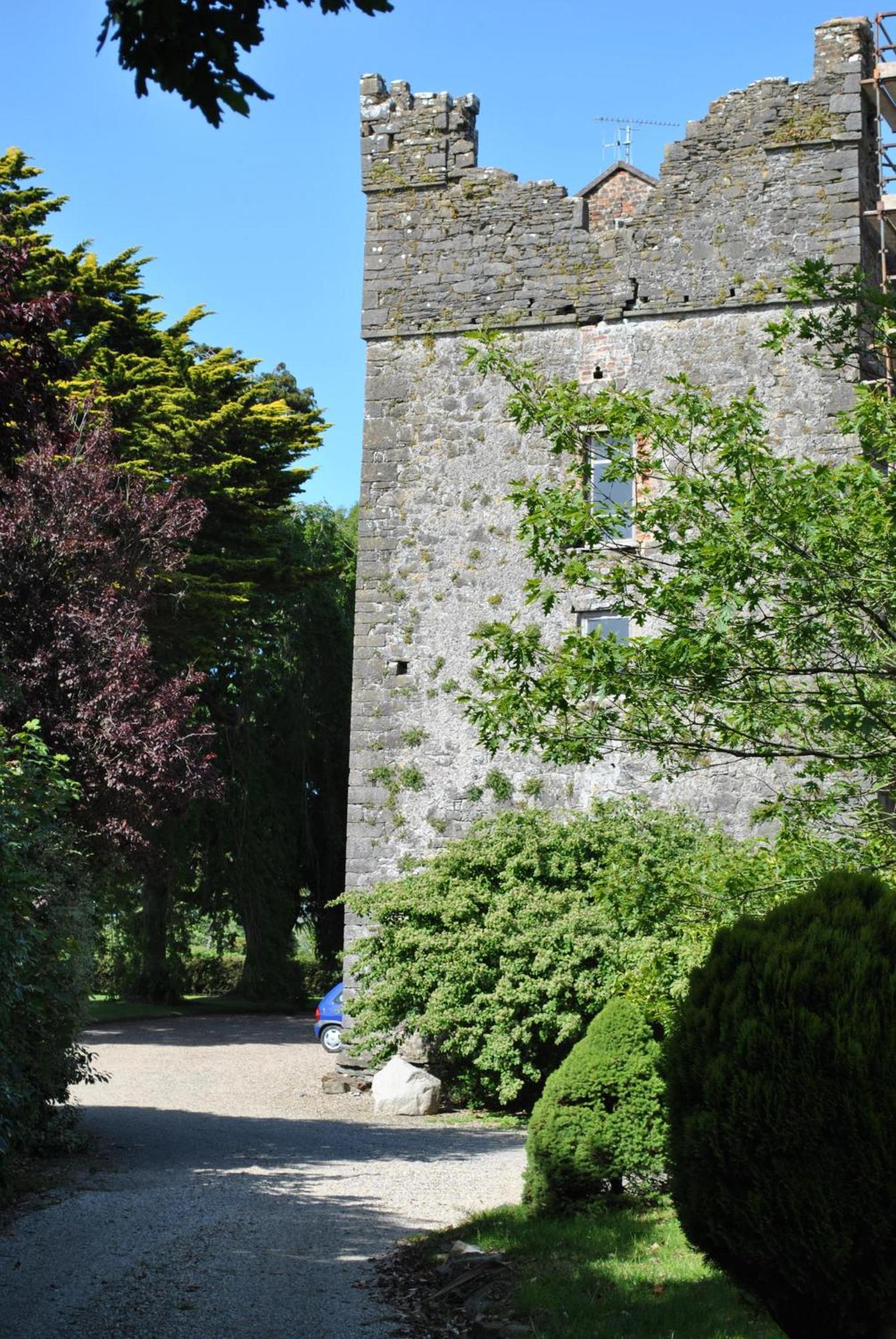 Killiane Castle Country House & Farm Drinagh Екстериор снимка
