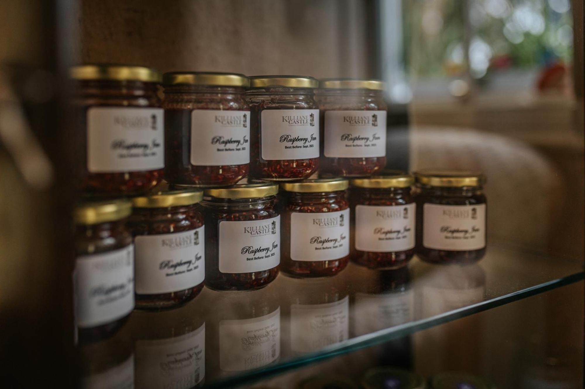 Killiane Castle Country House & Farm Drinagh Екстериор снимка