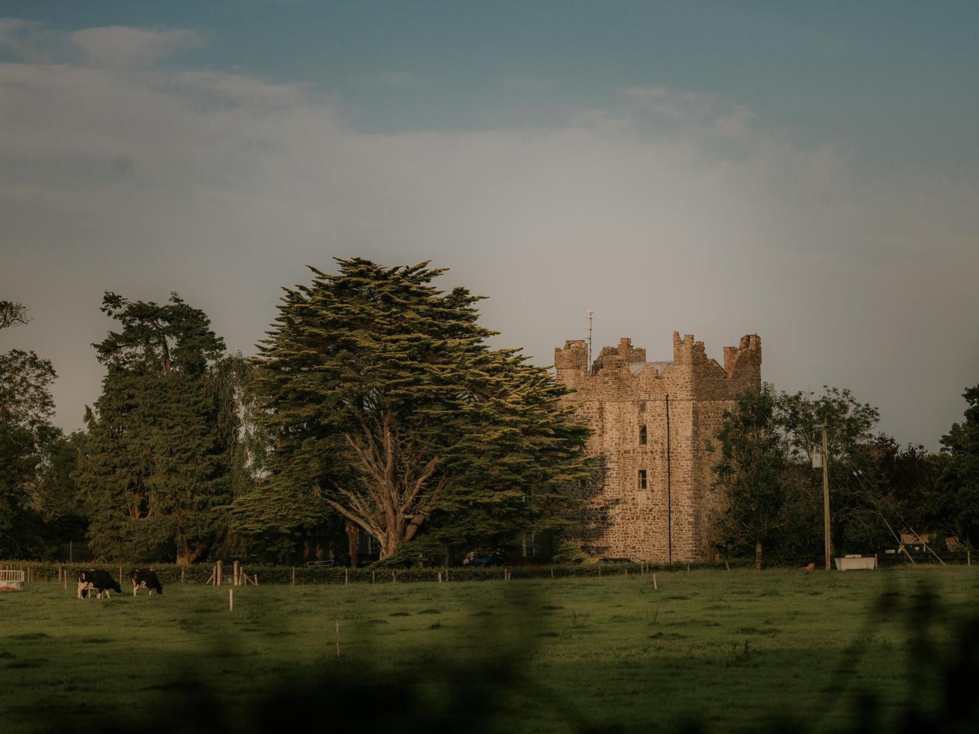 Killiane Castle Country House & Farm Drinagh Екстериор снимка