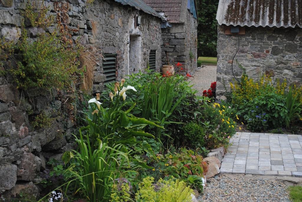 Killiane Castle Country House & Farm Drinagh Екстериор снимка