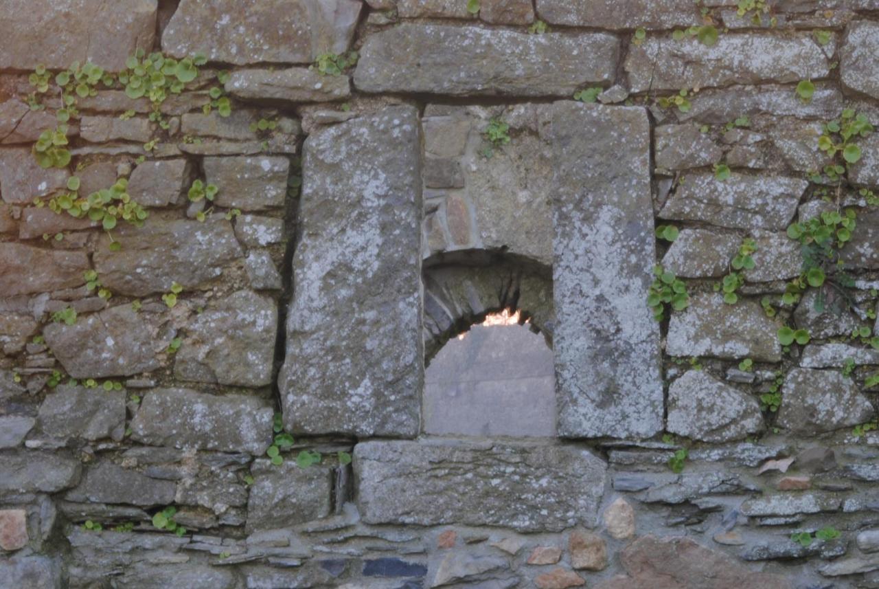 Killiane Castle Country House & Farm Drinagh Стая снимка